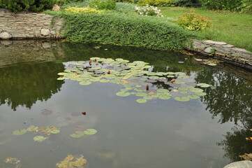 Garden pond. Pond in landscape design.