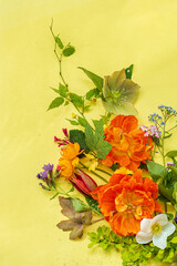 spring flowers and leaves on the yellow background