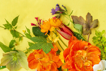 spring flowers and leaves on the yellow background