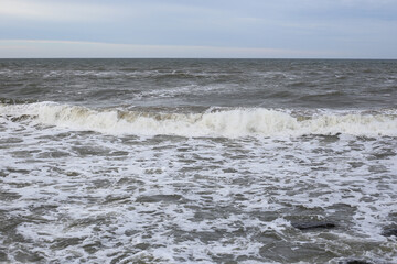 Baltic sea seascape view of shoreline and small waves.