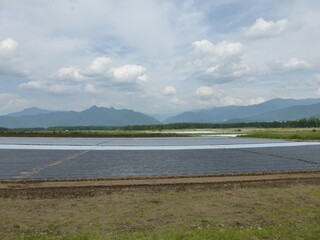 夏の野辺山高原（長野県南牧村）