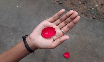 A girl holding a rose petal in her hand.