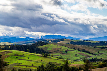 Fototapeta premium hills with forests in the countryside on a summer cloudy day. mountains landscape background.