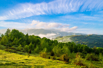 morning mountains in the fog .field with bushes and trees near the forest and mountains in the morning fog with blue sky on a summer day.