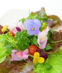 Edible flowers salad on a plate.