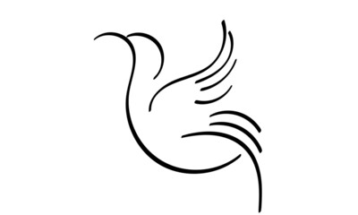 Bird drawing. element isolated on white background for decorative element. Vector illustration.