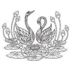 Swan and lotus hand drawn for adult coloring book