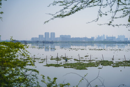 a beautiful landscape of city line of gurgaon. a city being captured in reflection in water.