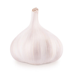 Whole fresh garlic isolated on white background.