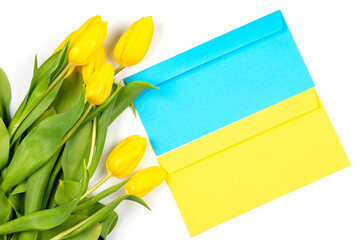 The concept of ending the war in Ukraine. Blu and yellow envelope and yellow tulips on white background