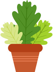Cute green leaves on pot.cdr