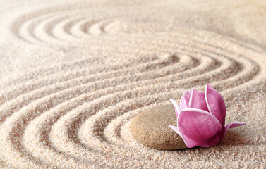 Japanese zen garden meditation stone and magnolia, concentration and relaxation sand and rock for harmony and balance.