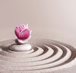 Japanese zen garden meditation stone and magnolia, concentration and relaxation sand and rock for harmony and balance. - obrazy, fototapety, plakaty