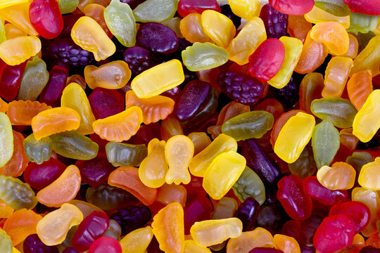 Fruit jelly gummy candies assortment. image