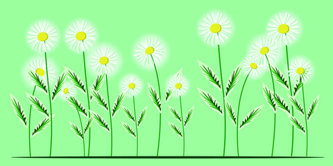 white small flower on Green background.  Illustration of hand drawing