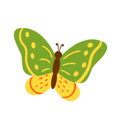 Vector illustration of cute butterfly isolated on white background.