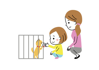 犬の譲渡会でかわいい柴犬と出会った母娘