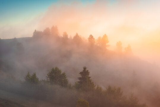 Majestic morning fog