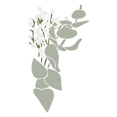 Fototapeta na wymiar Tender vector flat illustration with a bouquet of flowers. Spring bouquet with eucalyptus. Bouquet for women on International Women's Day, Wedding and Mother's Day. Flower arrangement for decoration.