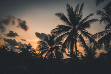 Naklejka na ściany i meble Silhouette of palm trees Beautiful sunset on the tropical sea beach