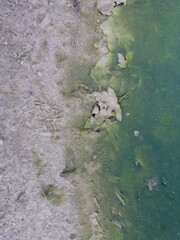 Texture of effect