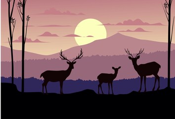 Fototapeta na wymiar deer in the sunset