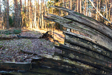 Old abandoned wooden fishing boat in the forest. Boat cemetery.
