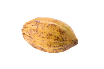 Fresh cocoa fruits isolated on white background