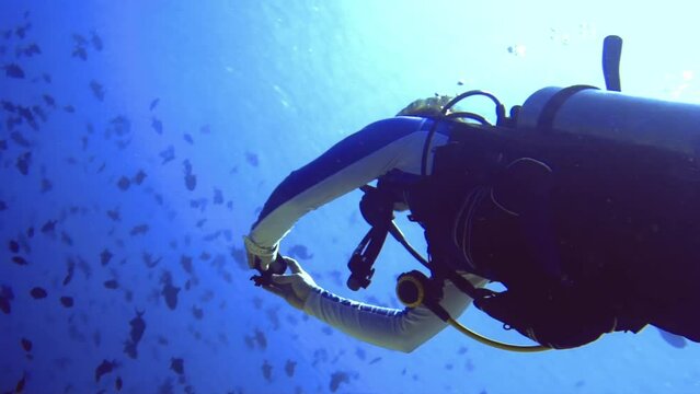 underwater seascape of diver with gopro shot flock of fishes near surface
