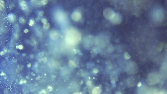 extra close up of heap of bubbles on coral reef. Maldives