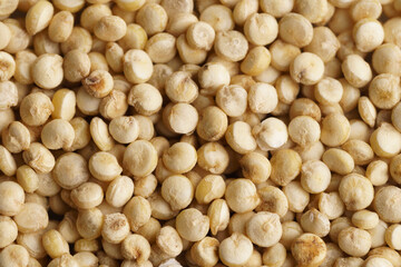 White quinoa seeds macro shot.
