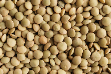 Green lentils background, macro shot.