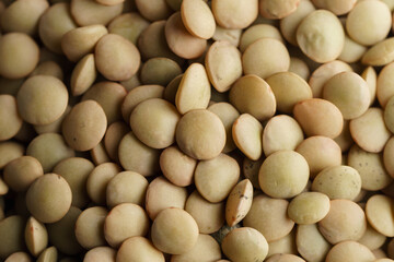 Green lentils background, macro shot.