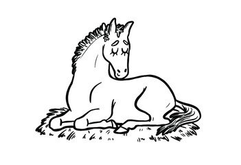 Horse cartoon style character design. Use it for children color book creation.