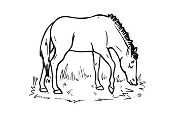 Horse cartoon style character design. Use it for children color book creation.