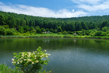 高原の湖畔