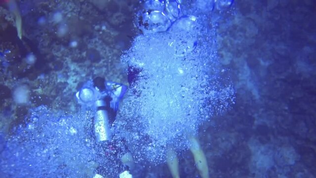 top view of 4 divers underwater research the coral reef. Maldives