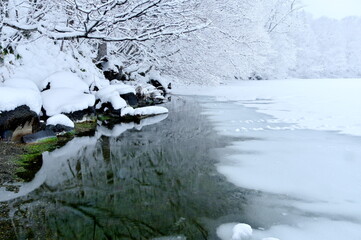 Obraz na płótnie Canvas 真っ白な雪景色の湖畔。日本の北海道の屈斜路湖。