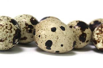 Fototapeta premium quail egg close-up on the background of other quail eggs