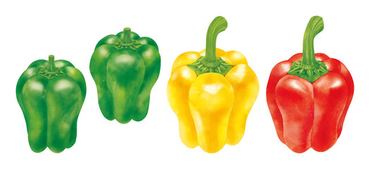 ピーマン　パプリカ