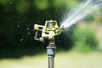 Watering garden in summer with a sprinkler system