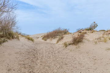 Dunes du Touquet-Paris-Plage