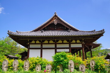 古都奈良　ヤマブキの咲く般若寺　