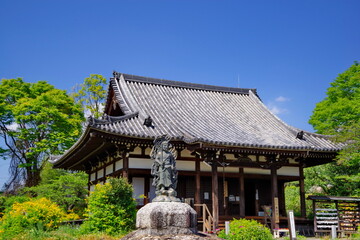 Fototapeta na wymiar 古都奈良　ヤマブキの咲く般若寺　