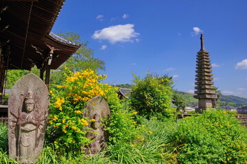 古都奈良　ヤマブキの咲く般若寺　