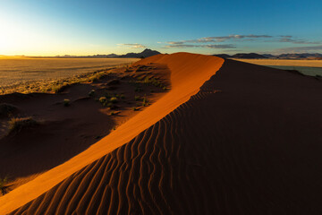 Morning light on red sand dune