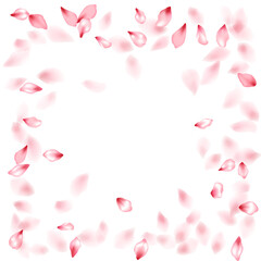 Pink sakura flower flying petals isolated on white vector background.