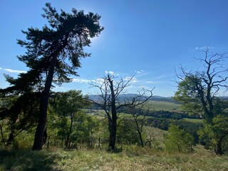 Obraz premium Belianske Tatry, Ždiarska dolina, beautiful country