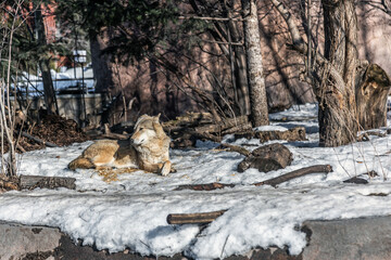 Fototapety na wymiar - Fototapeta24.pl