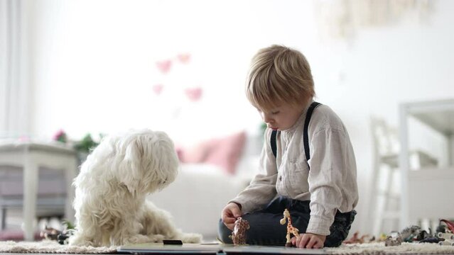 Cute blond preschool child, blond boy with pet maltese dog, reading book at home on the floor with mother